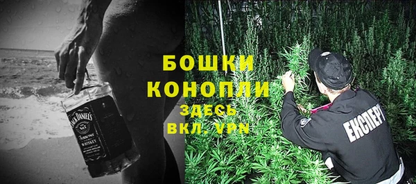 ПСИЛОЦИБИНОВЫЕ ГРИБЫ Елабуга