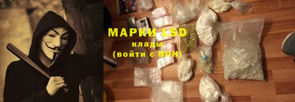 прущие грибы Дмитров