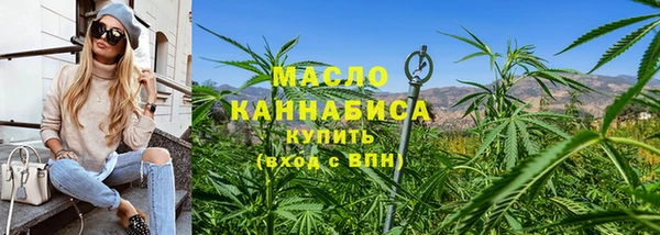 индика Дмитриев